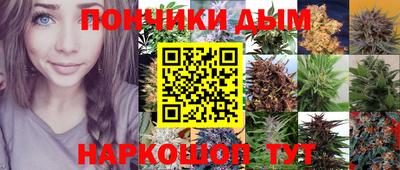 сатива Балаково