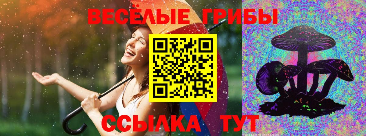Галлюциногенные грибы MAGIC MUSHROOMS Гудермес