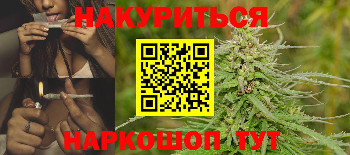 Гудермес  Бошки Шишки конопля  Вход с VPN  Каннабис сатива 